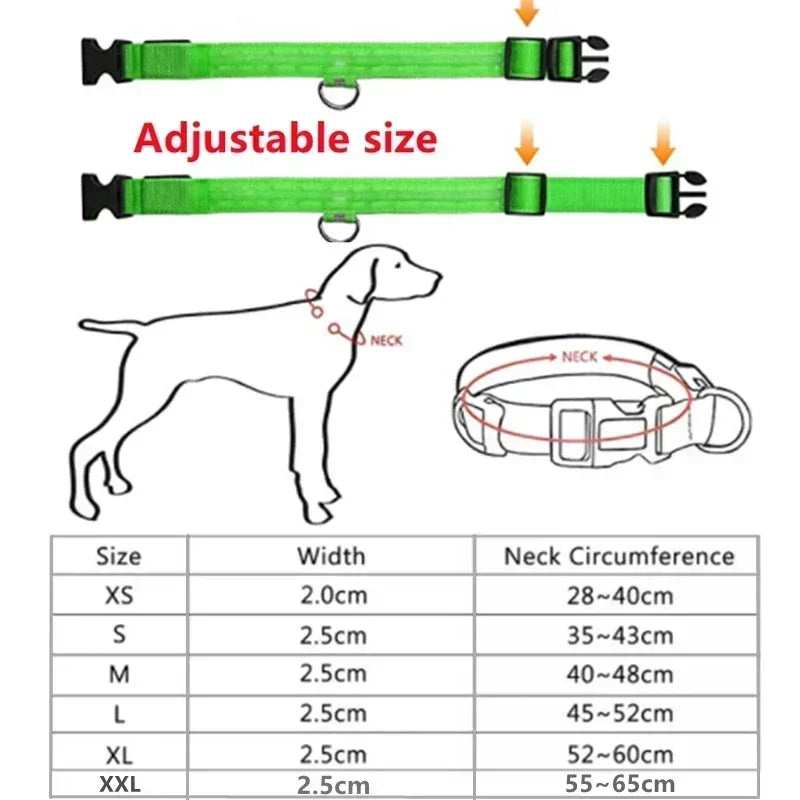 Anti-Lost LED Glowing Dog Collar