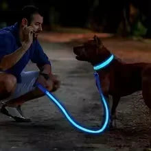 Anti-Lost LED Glowing Dog Collar