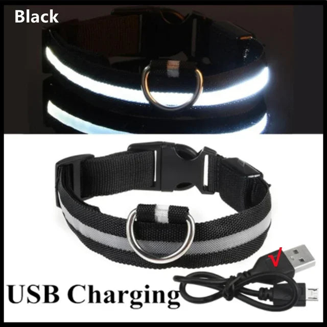 Anti-Lost LED Glowing Dog Collar