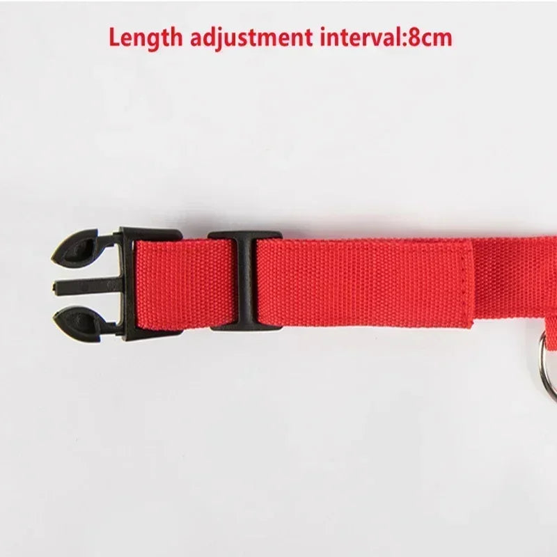 Anti-Lost LED Glowing Dog Collar