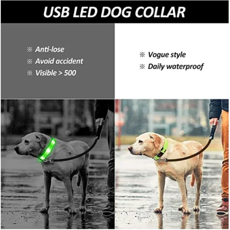 Anti-Lost LED Glowing Dog Collar