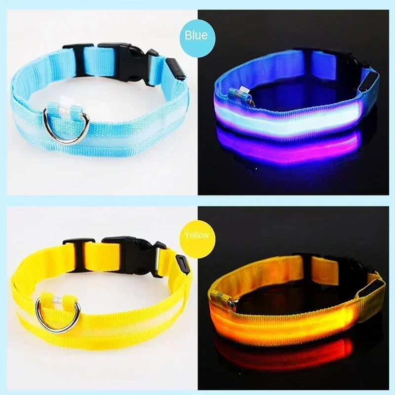 Anti-Lost LED Glowing Dog Collar