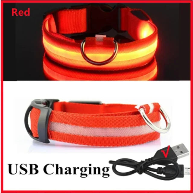 Anti-Lost LED Glowing Dog Collar