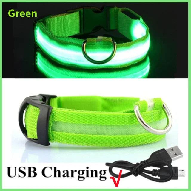 Anti-Lost LED Glowing Dog Collar