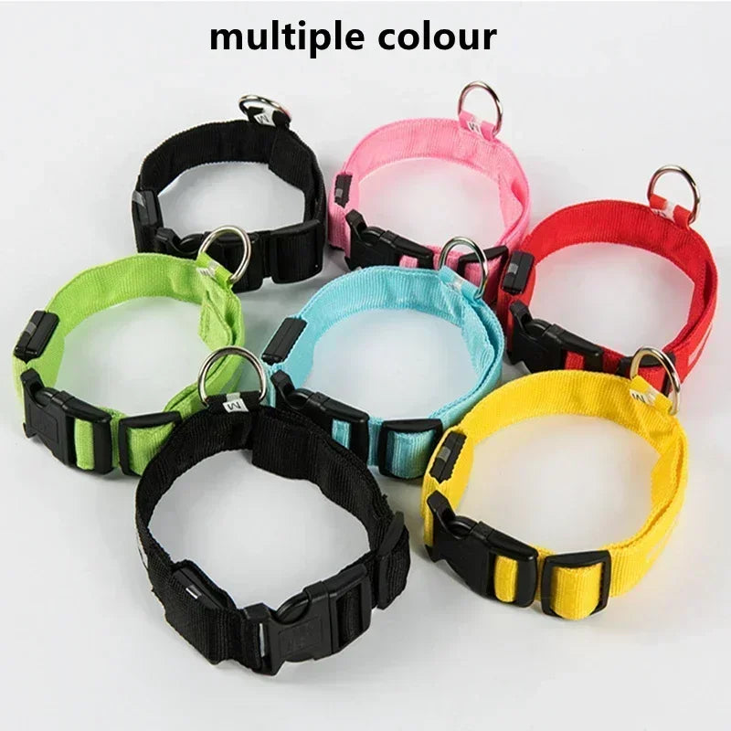 Anti-Lost LED Glowing Dog Collar