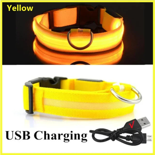 Anti-Lost LED Glowing Dog Collar