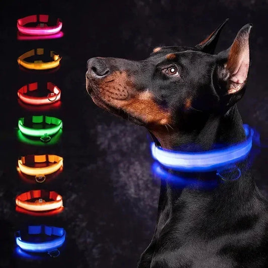 Anti-Lost LED Glowing Dog Collar