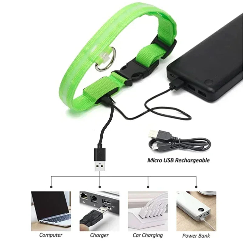 Anti-Lost LED Glowing Dog Collar