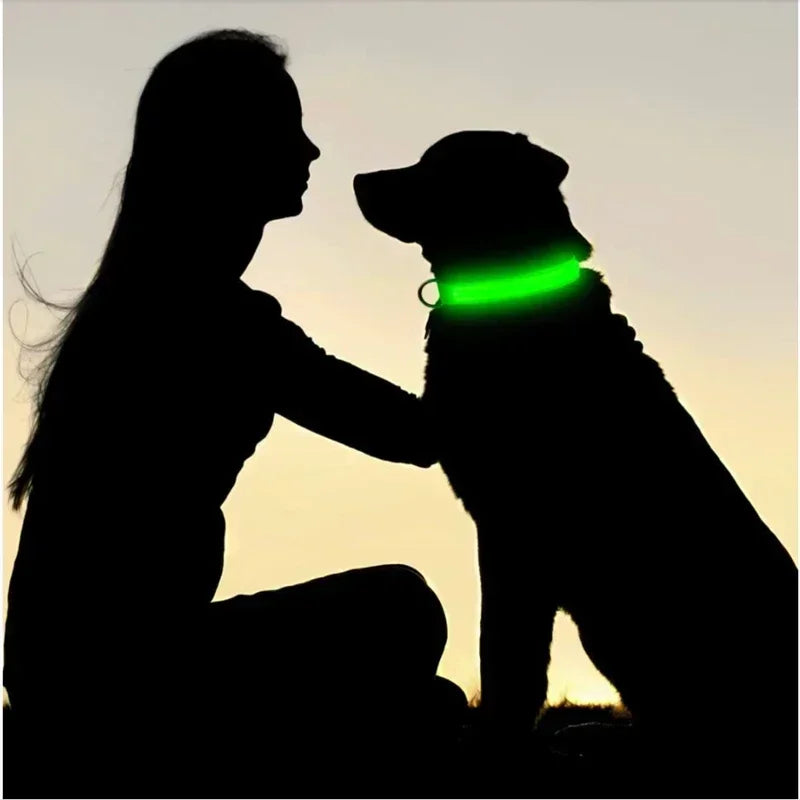Anti-Lost LED Glowing Dog Collar