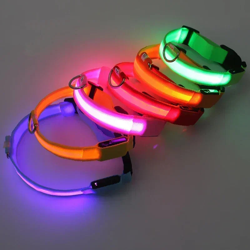 Anti-Lost LED Glowing Dog Collar