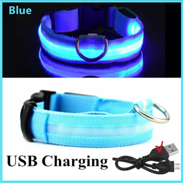 Anti-Lost LED Glowing Dog Collar