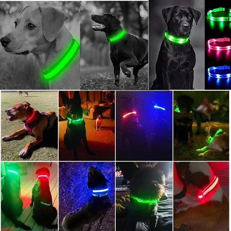 Anti-Lost LED Glowing Dog Collar