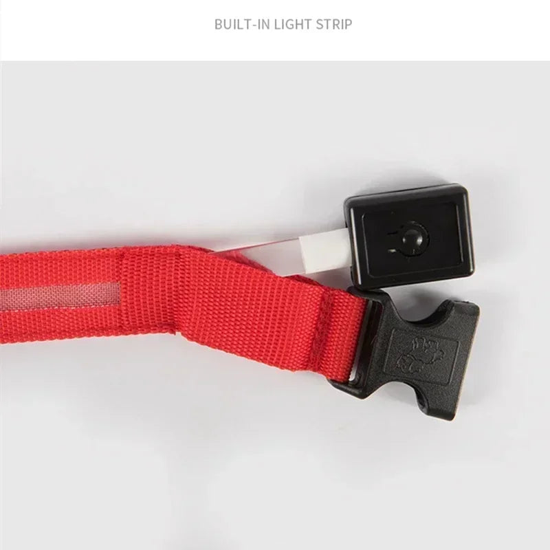 Anti-Lost LED Glowing Dog Collar