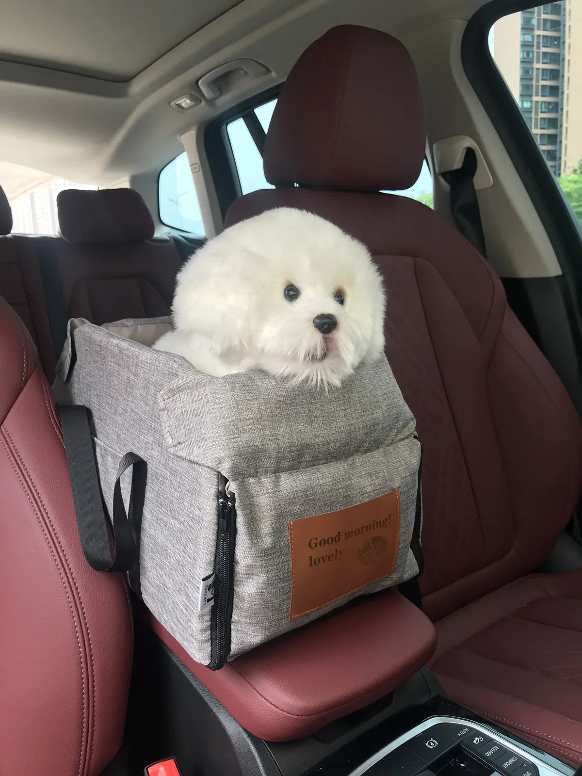 Car Seat Bed & Portable Carrier