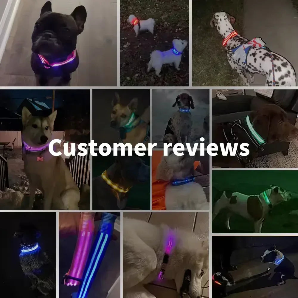 Anti-Lost LED Glowing Dog Collar