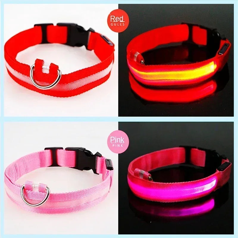 Anti-Lost LED Glowing Dog Collar