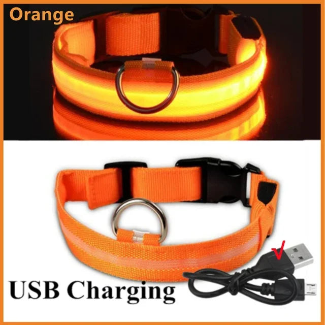 Anti-Lost LED Glowing Dog Collar