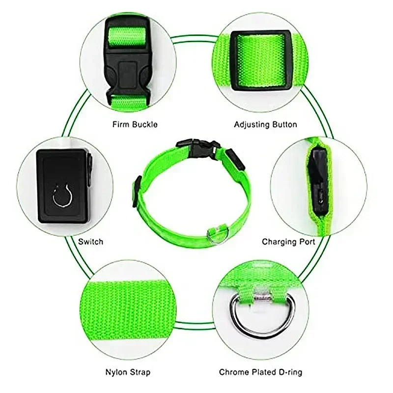 Anti-Lost LED Glowing Dog Collar