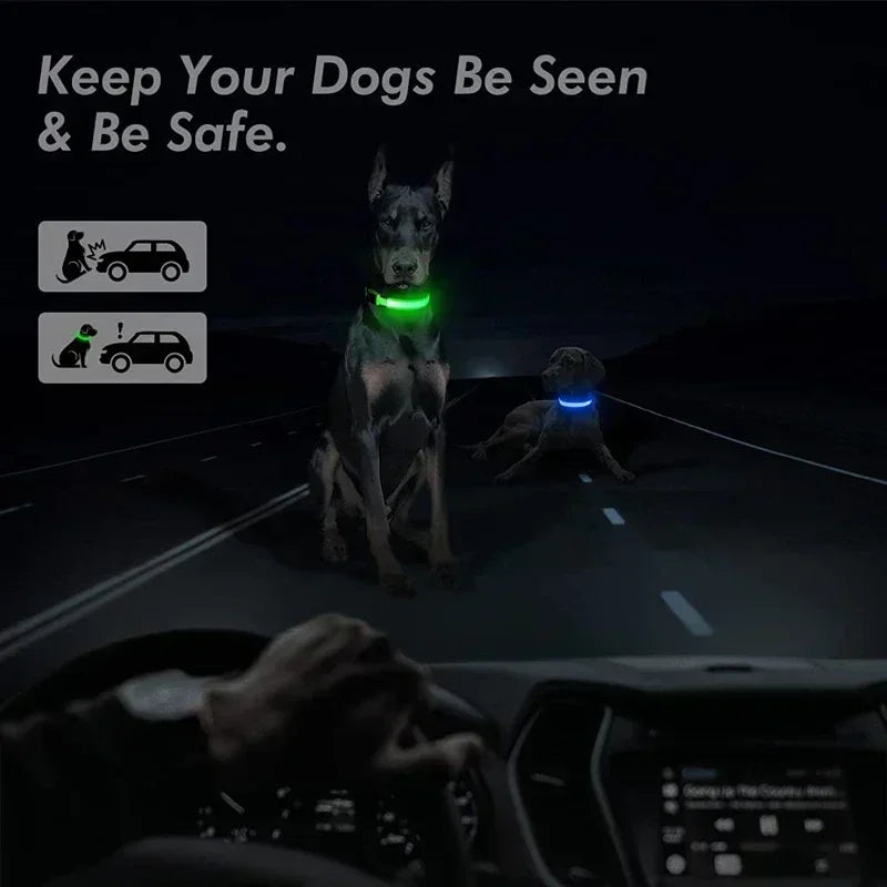 Anti-Lost LED Glowing Dog Collar