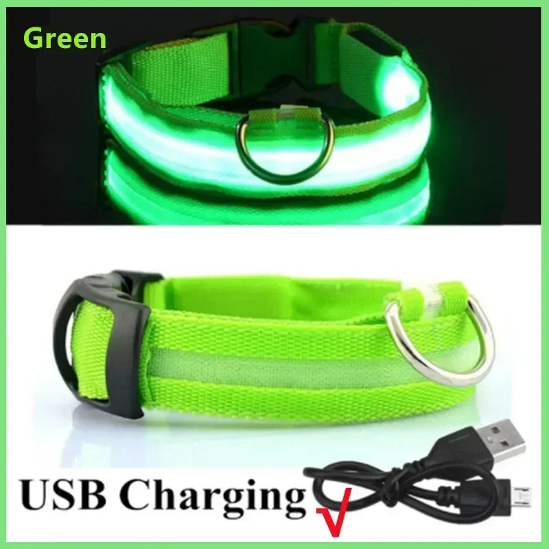 Anti-Lost LED Glowing Dog Collar