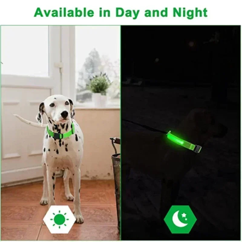 Anti-Lost LED Glowing Dog Collar